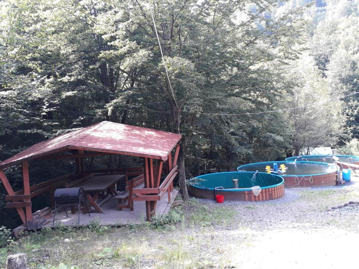 Cabana Alpha Baia Mare Extérieur photo