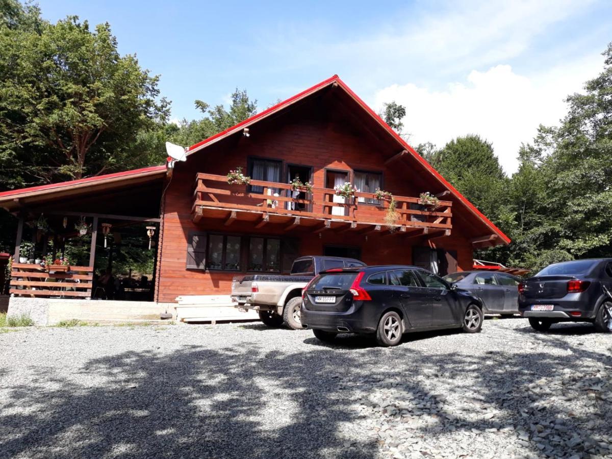 Cabana Alpha Baia Mare Extérieur photo