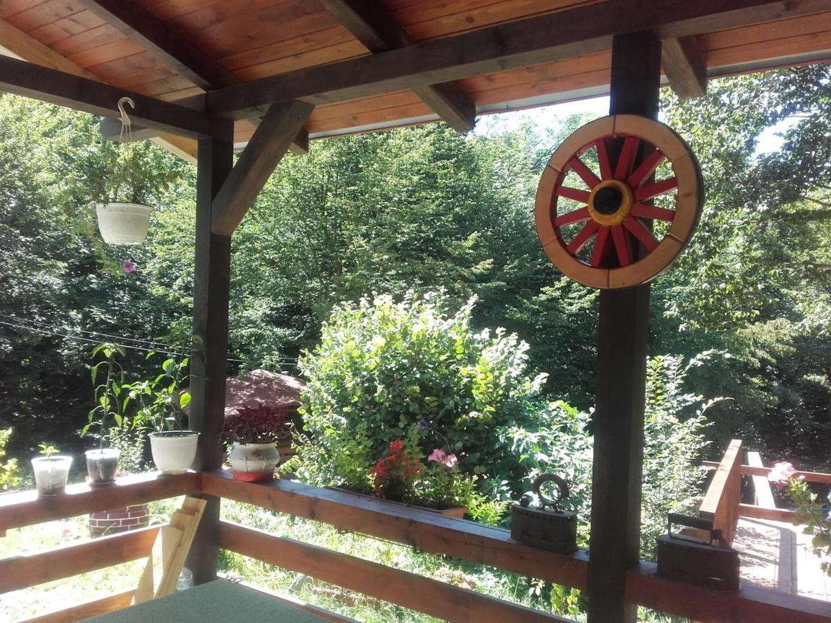 Cabana Alpha Baia Mare Extérieur photo