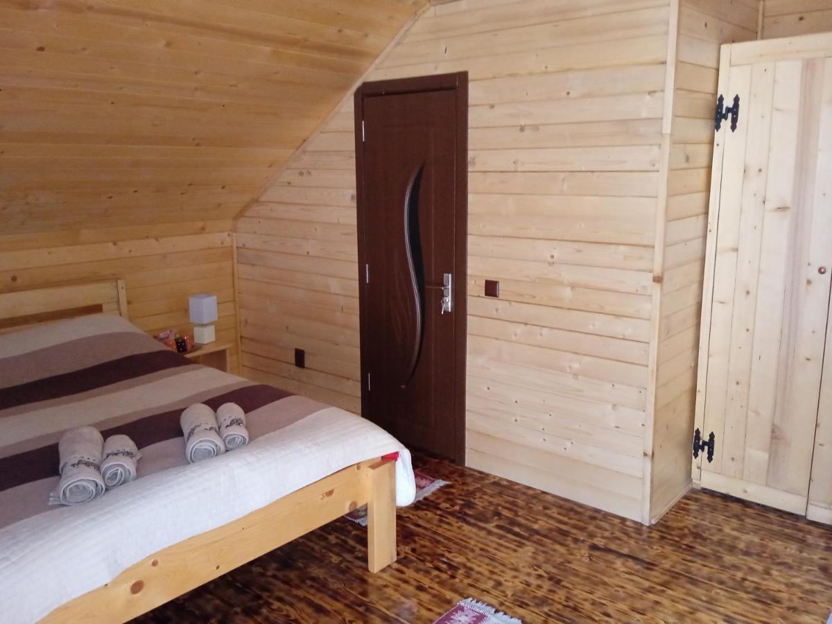 Cabana Alpha Baia Mare Extérieur photo