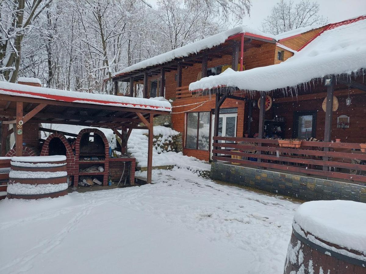 Cabana Alpha Baia Mare Extérieur photo