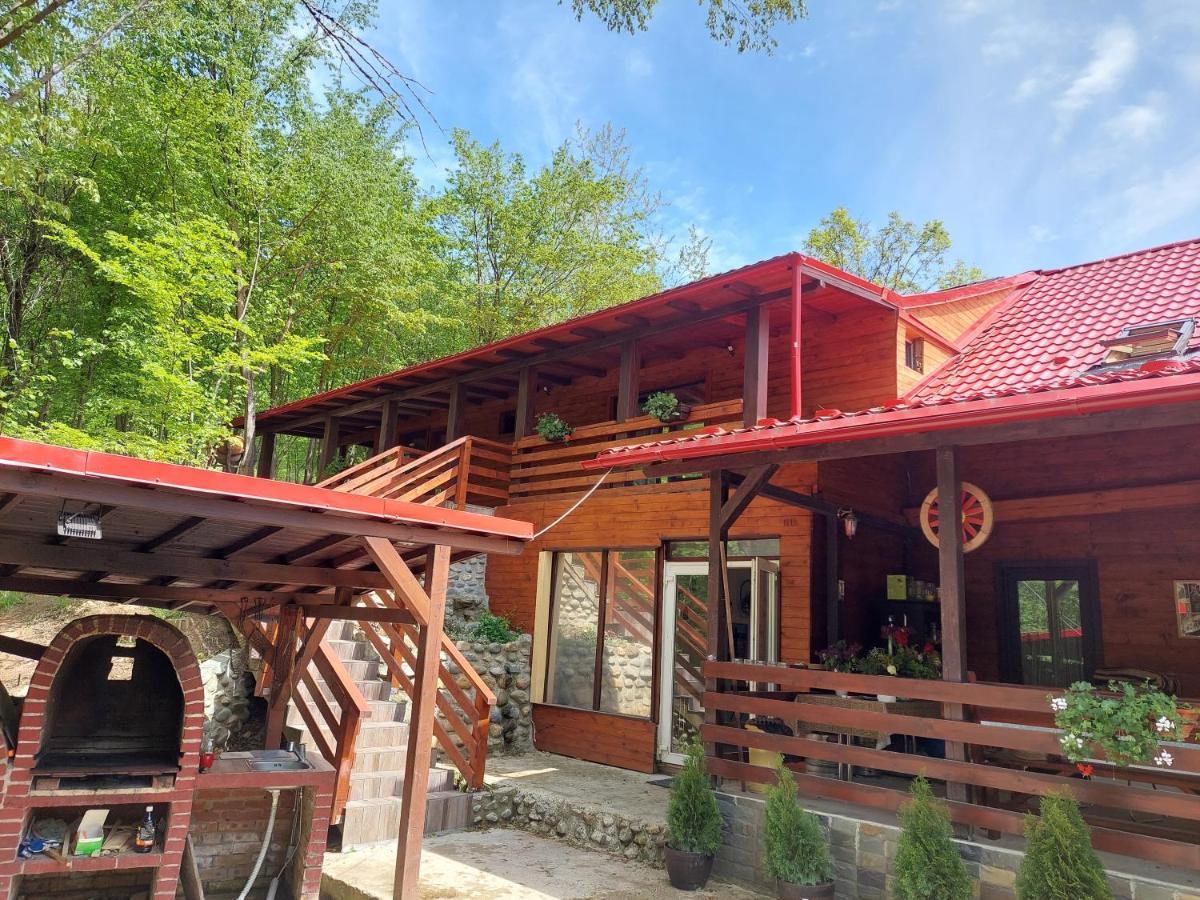 Cabana Alpha Baia Mare Extérieur photo