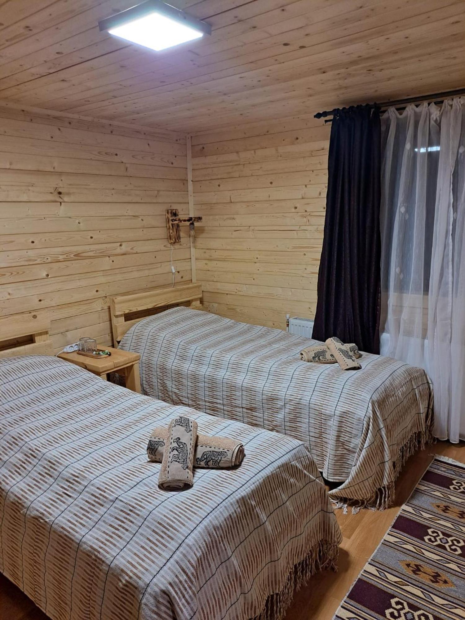 Cabana Alpha Baia Mare Extérieur photo
