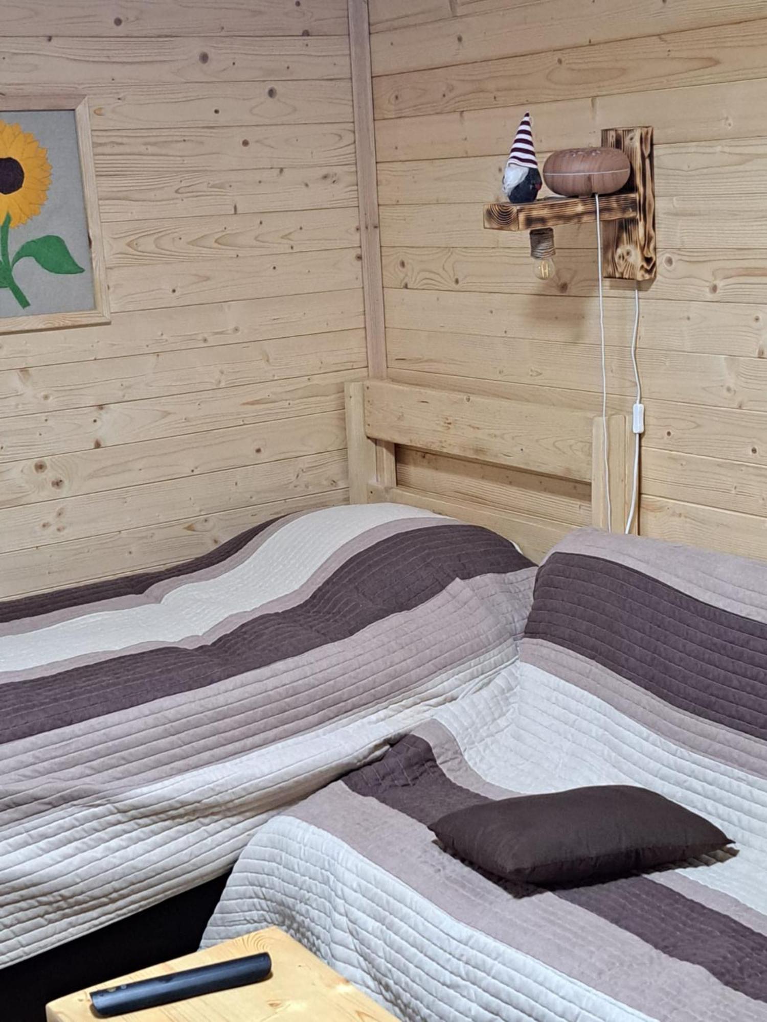 Cabana Alpha Baia Mare Extérieur photo