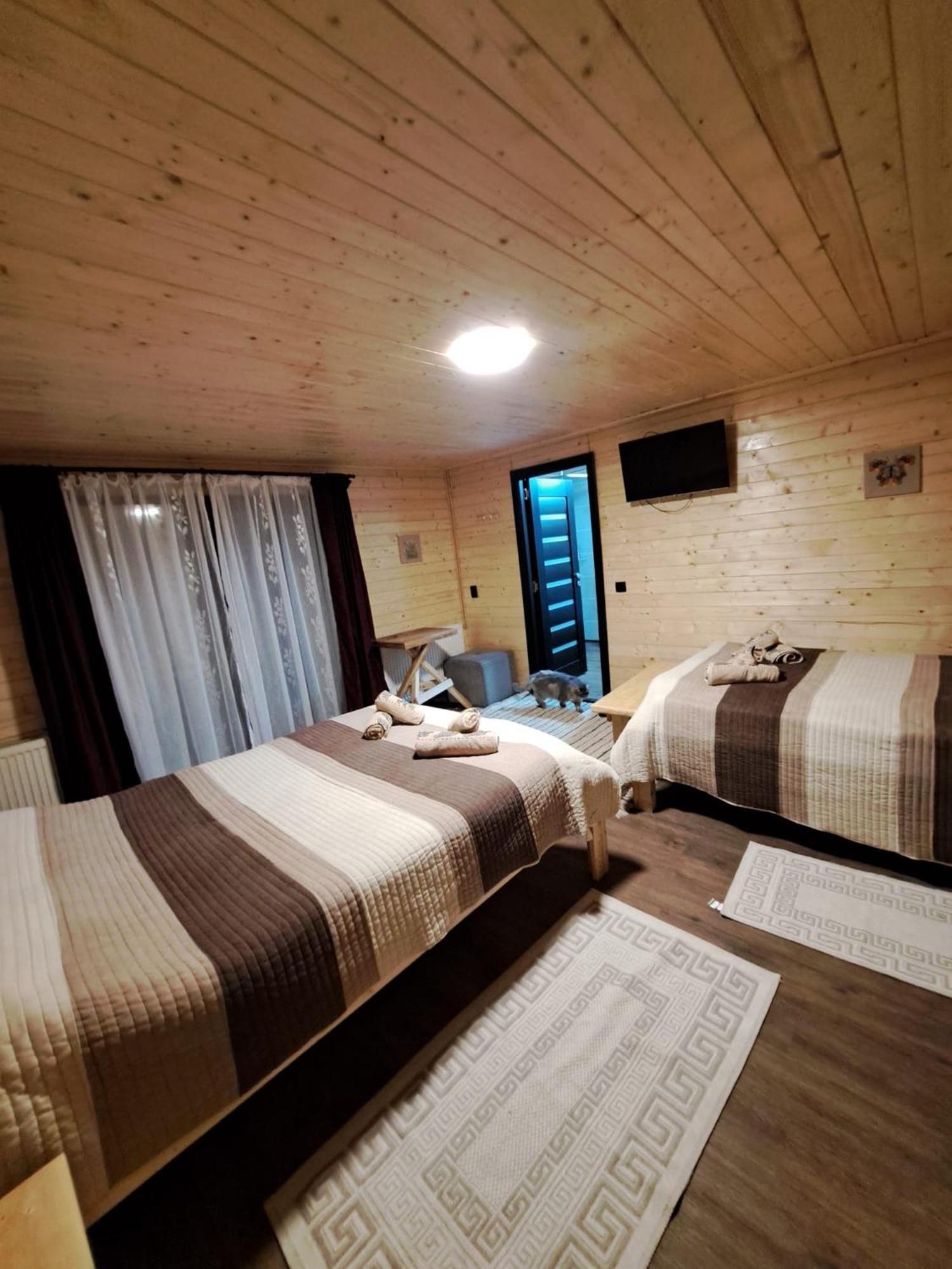 Cabana Alpha Baia Mare Extérieur photo