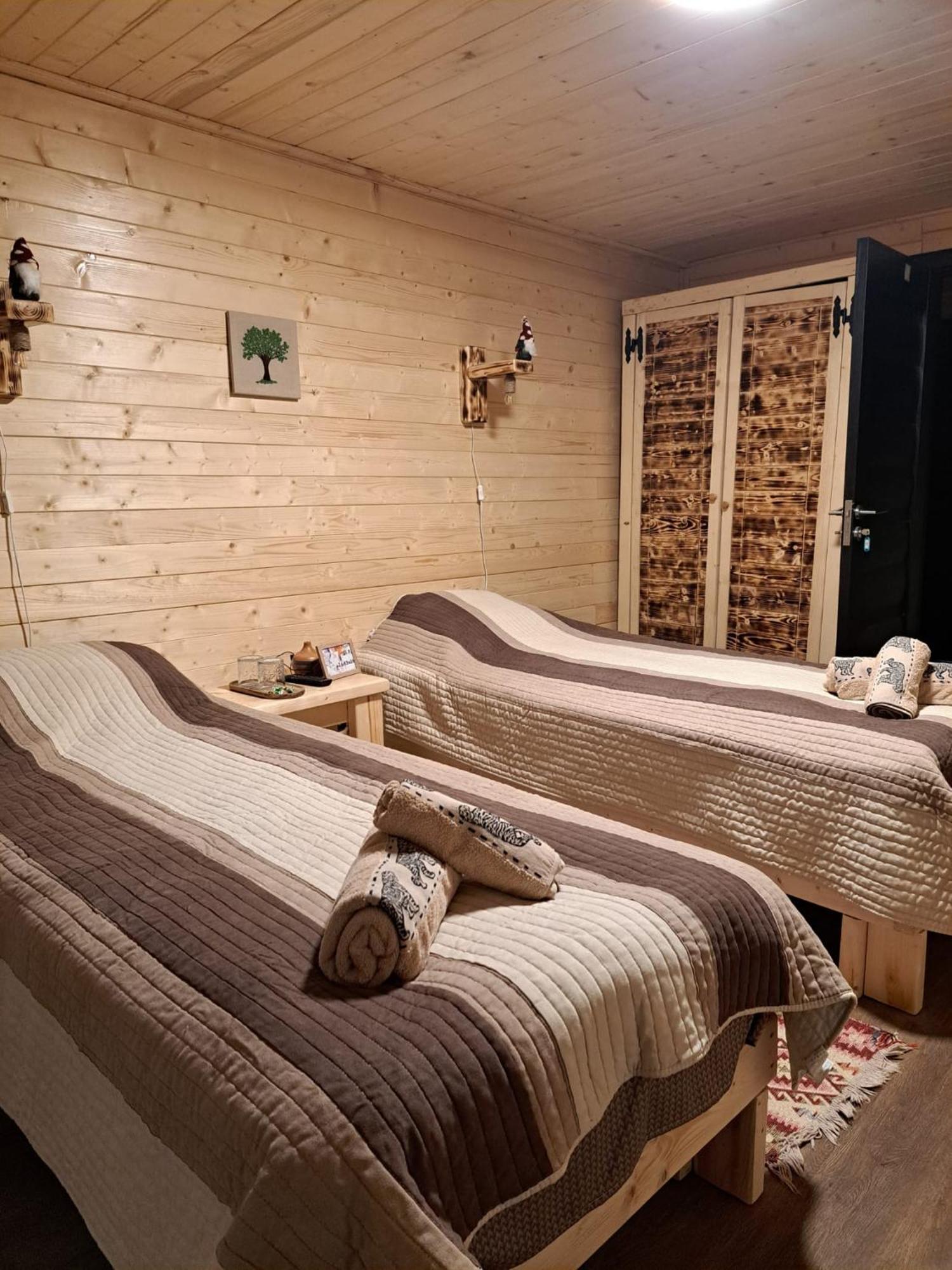 Cabana Alpha Baia Mare Extérieur photo